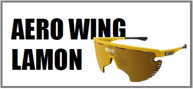 AERO WING LAMON