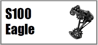 S100