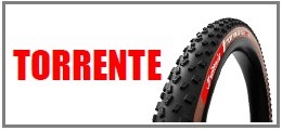TORRENTE